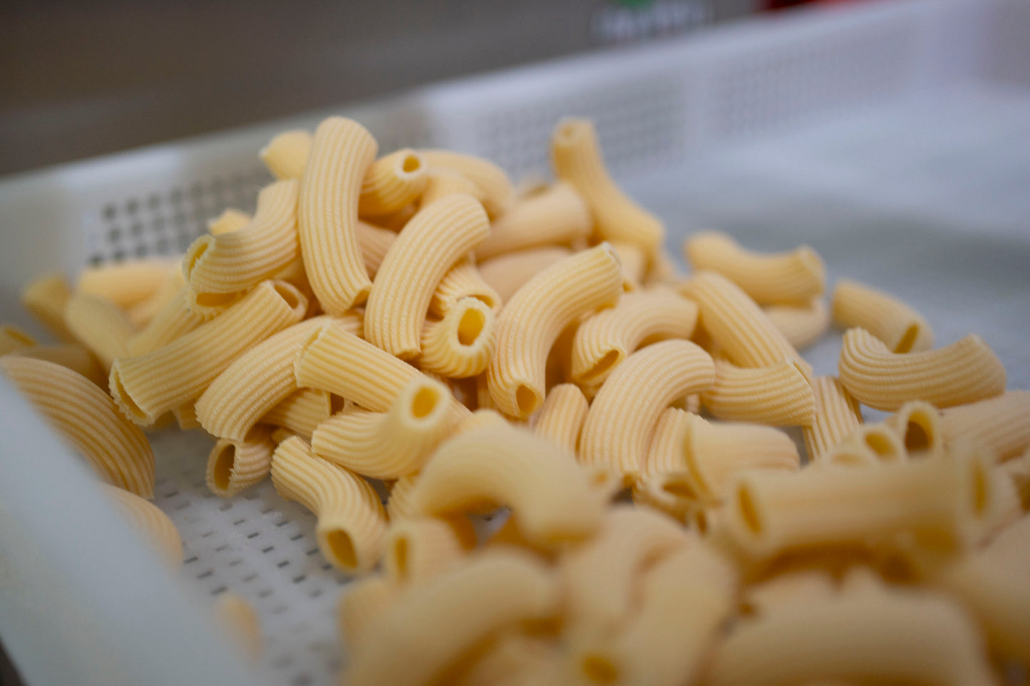 RIGATONI /kg