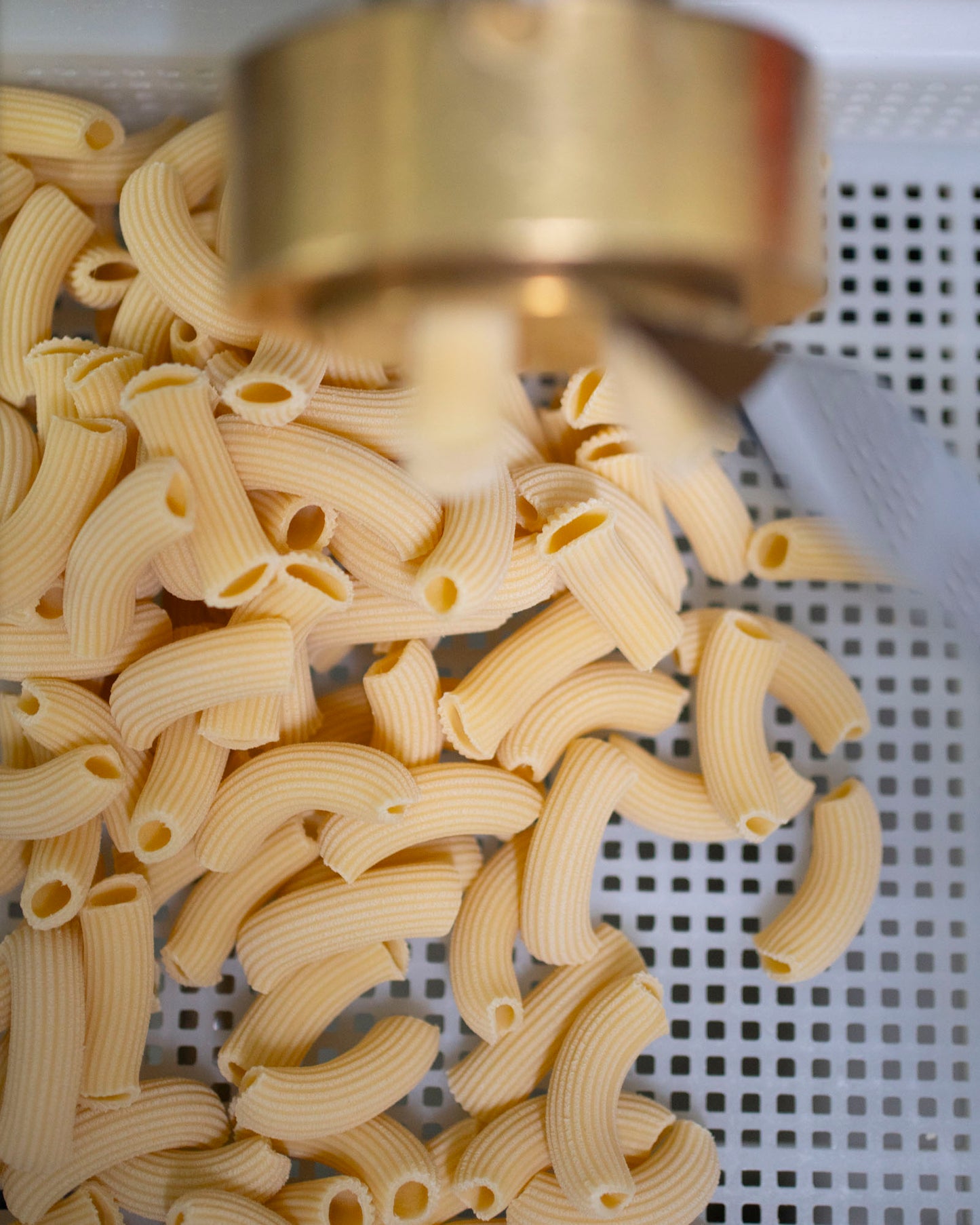 RIGATONI /kg