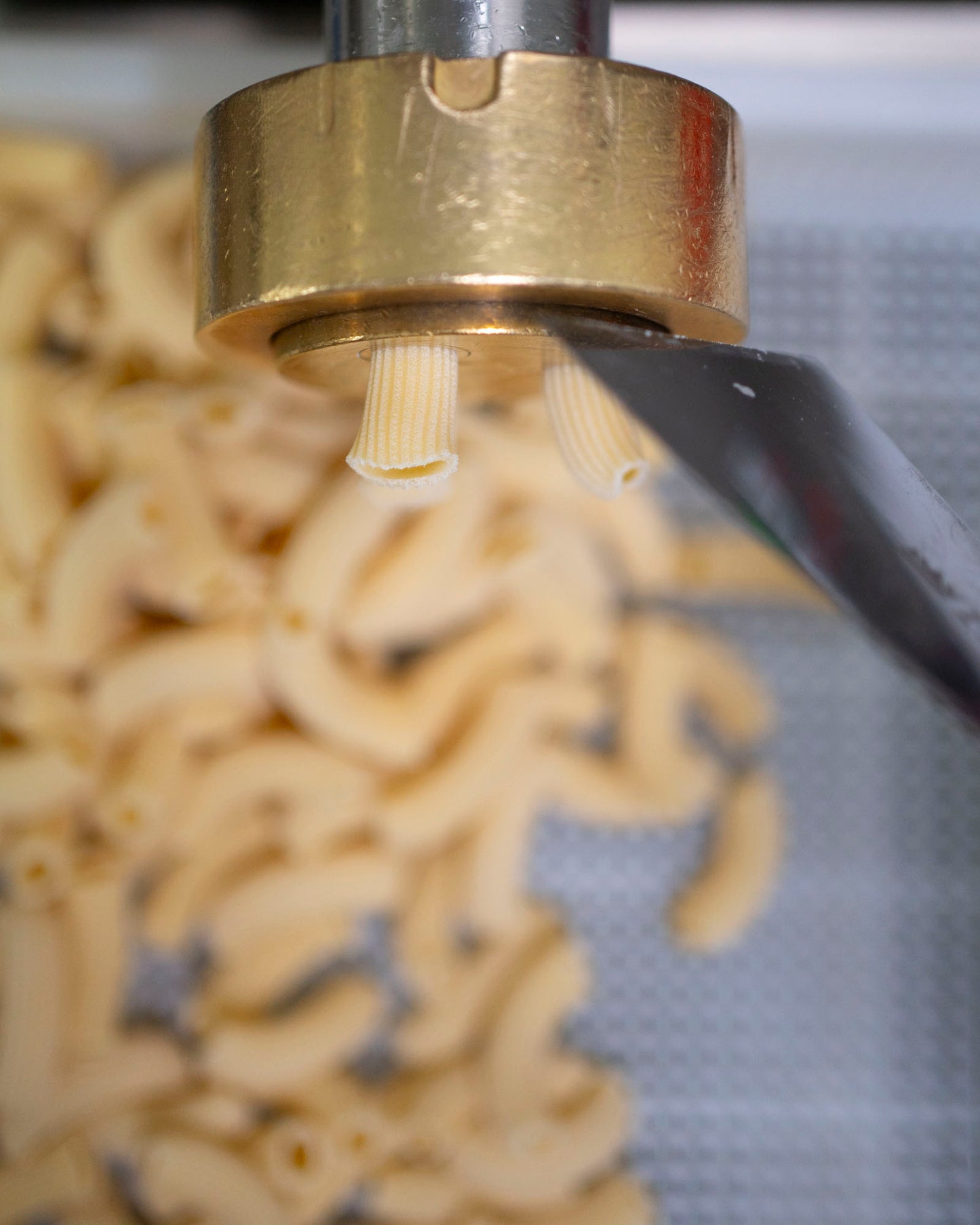 RIGATONI /kg
