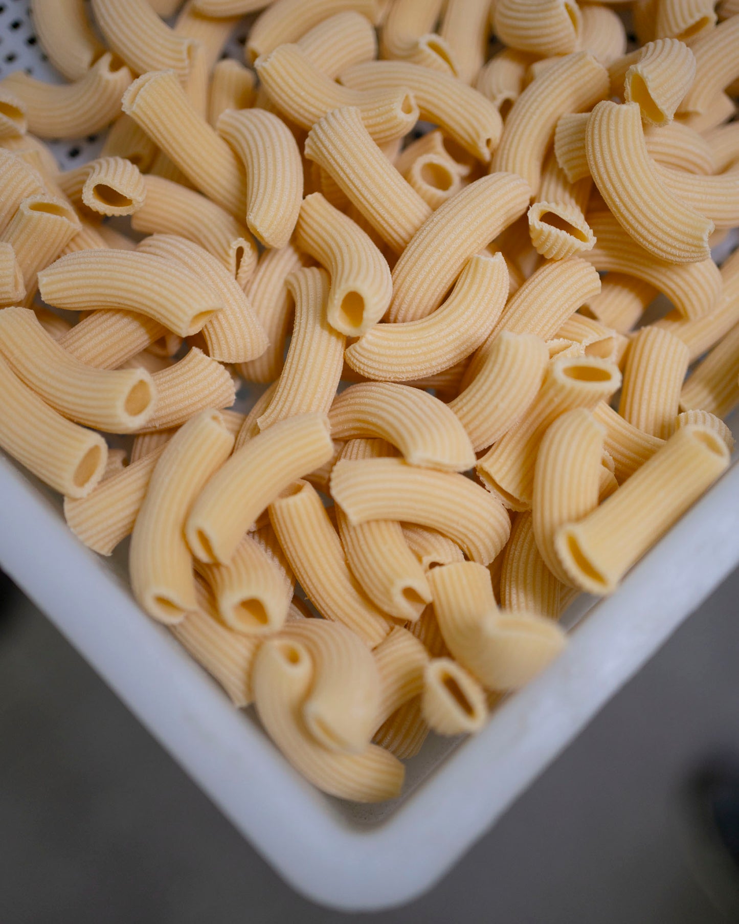 RIGATONI /kg