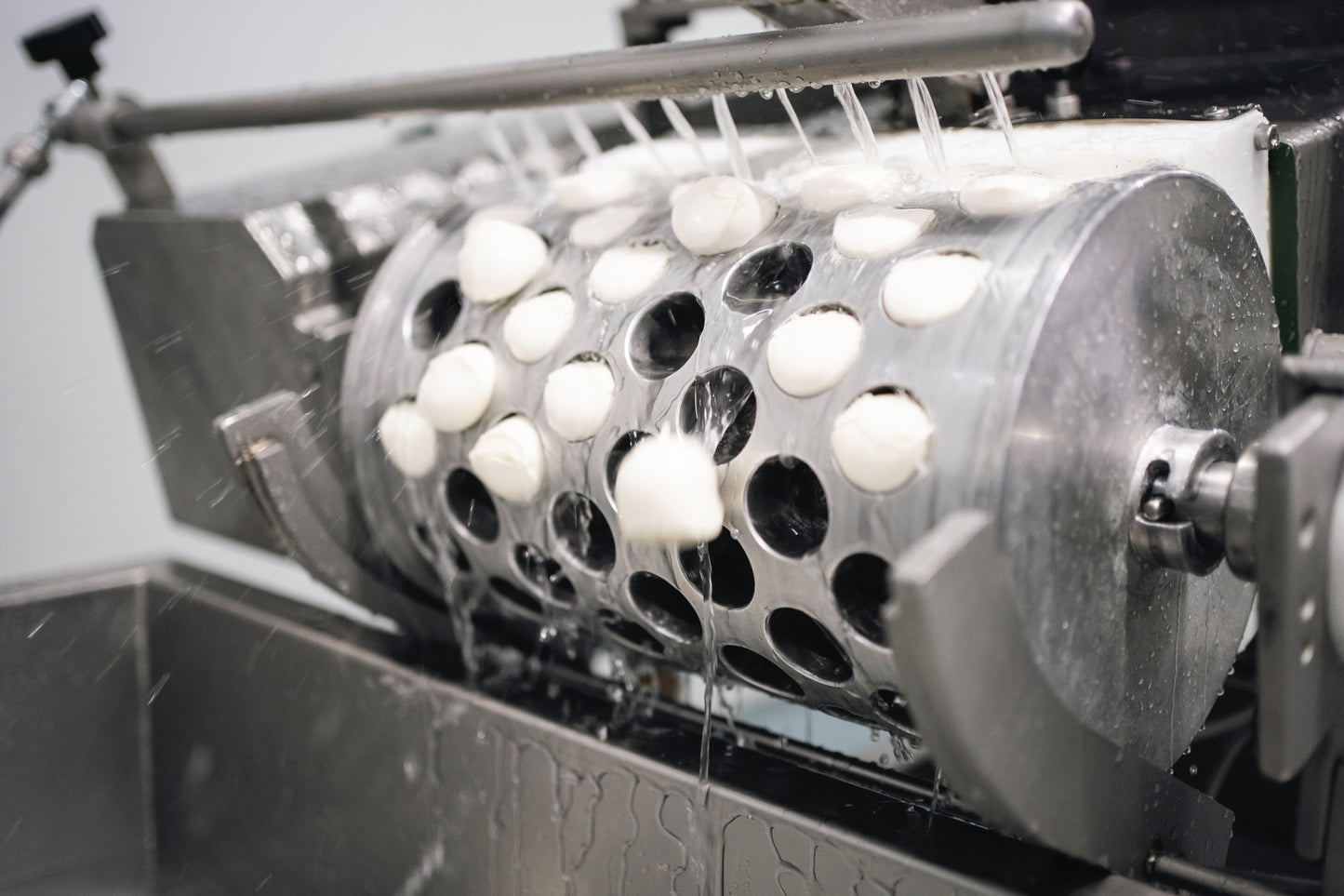 BOCCONCINI FIOR DI LATTE 30 GR - BANDEJAS 50 Ud. - PESO NETO TOT. 1.5 KG