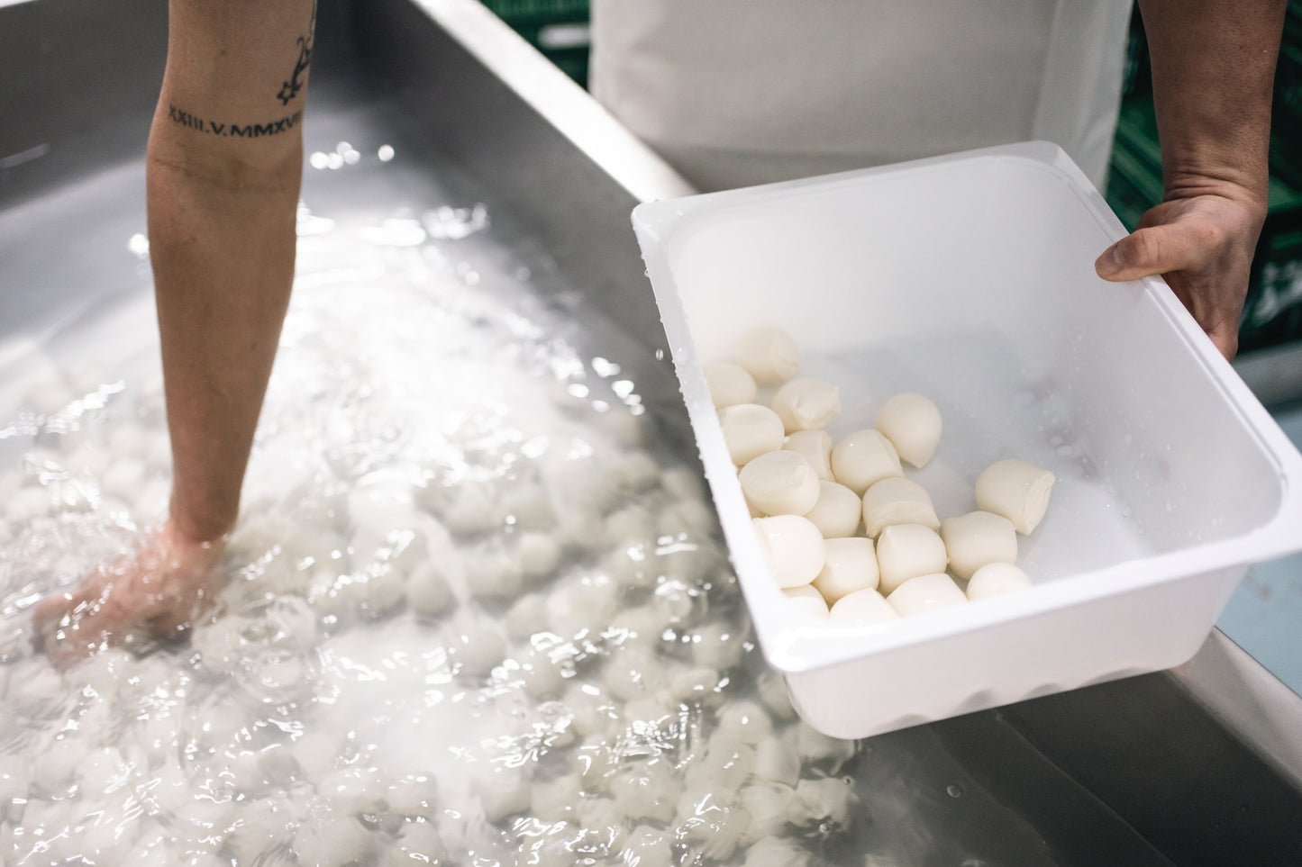 BOCCONCINI DI BUFALA 30 GR - BANDEJAS 50 Ud. - PESO NETO TOT. 1.5 KG
