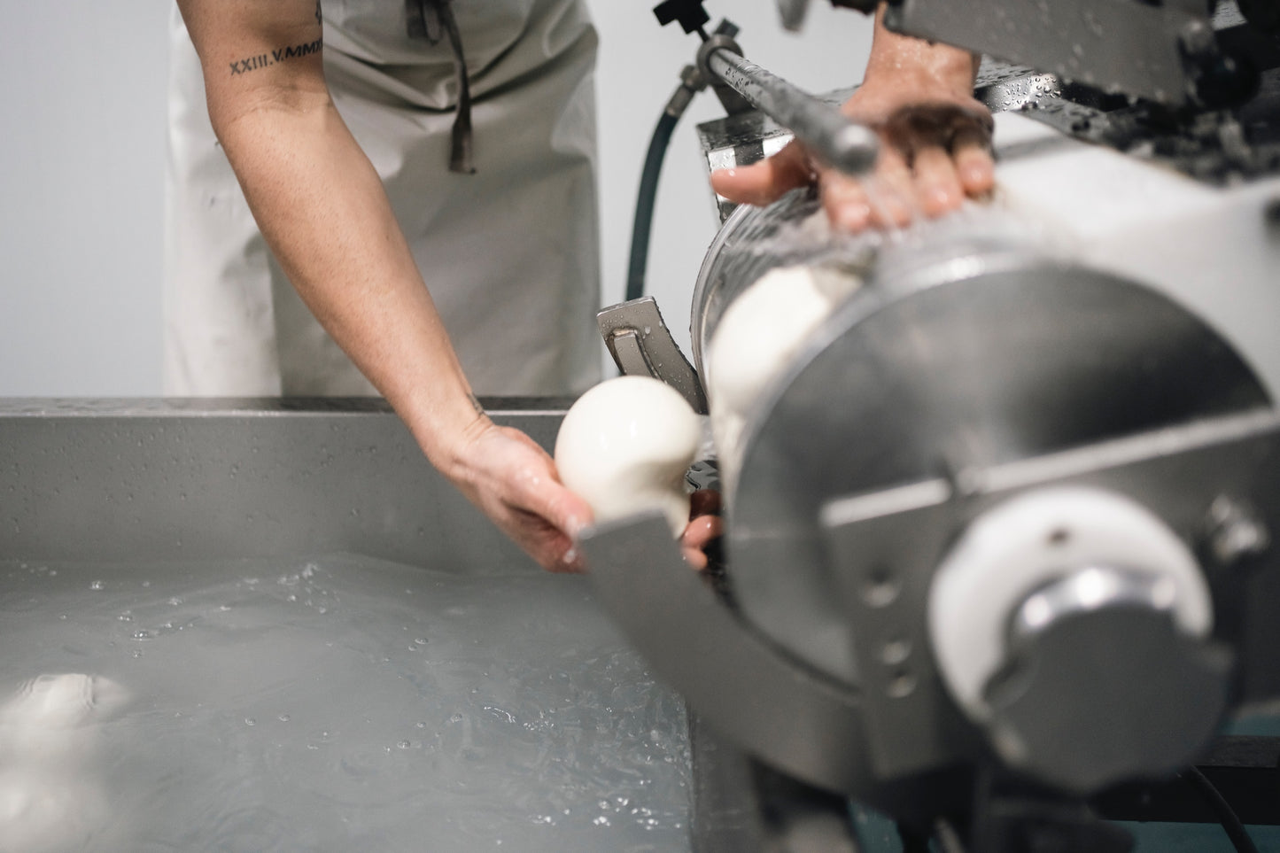 MOZZARELLA FIOR DI LATTE bolas 500 gr - bandejas 8 Ud. - peso neto tot. 4,1 kg