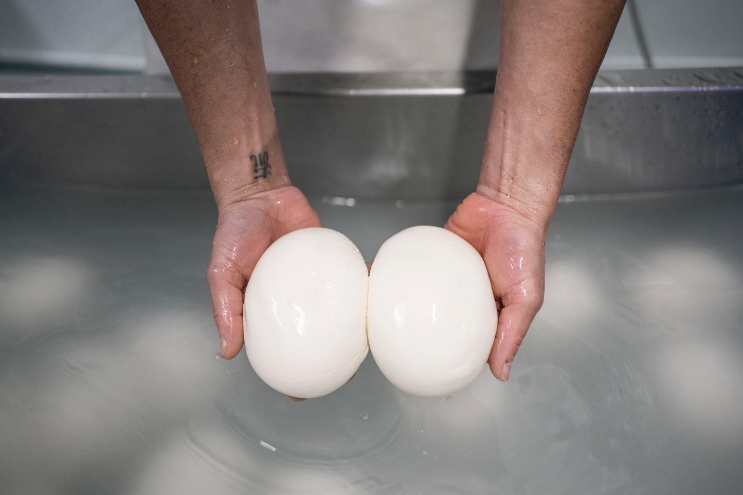 MOZZARELLA FIOR DI LATTE bolas 500 gr - bandejas 8 Ud. - peso neto tot. 4,1 kg