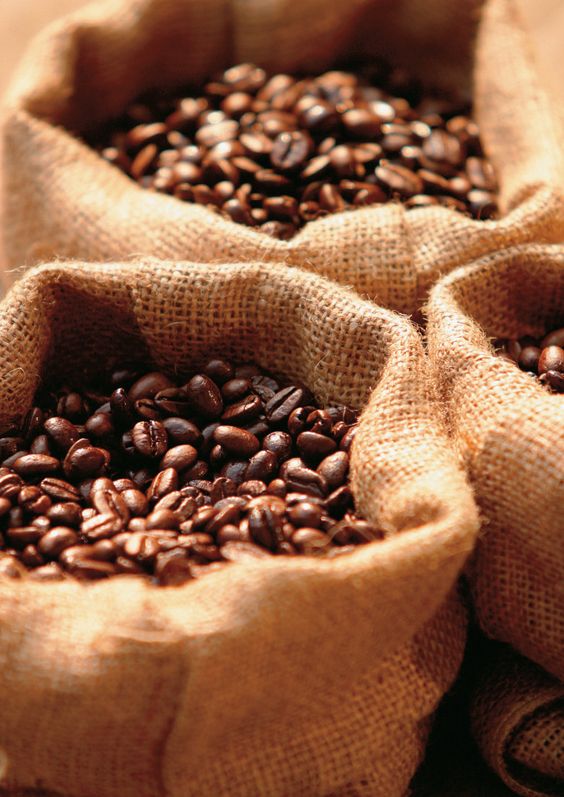 Café en Grano BLEND CLASSICA LOLLO 1KG
